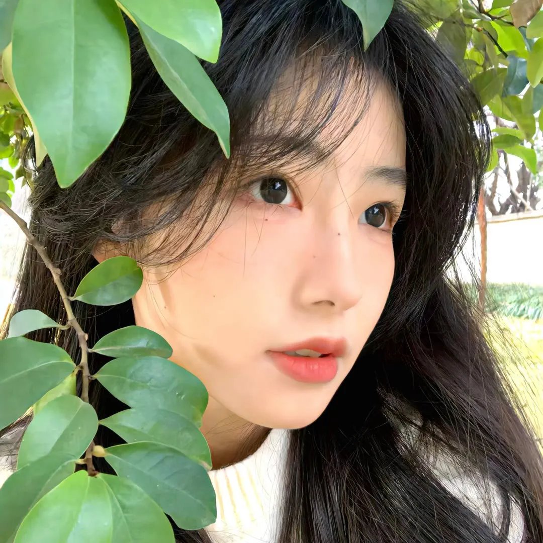 自由的代价